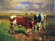 unknow artist Young bulls at a watering place Sweden oil painting artist